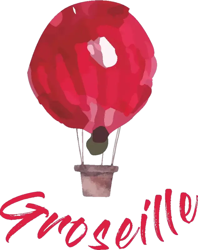 Photo de Groseille