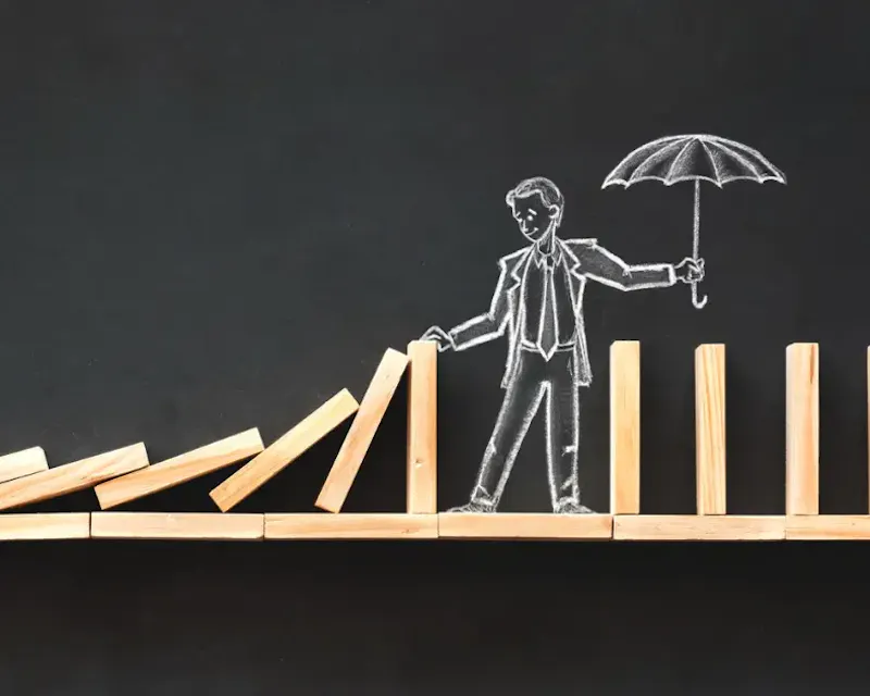GESTION DES RISQUES GESTION DES RISQUES