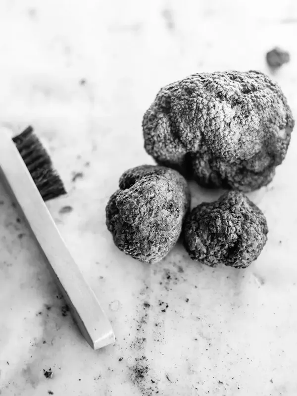 Tabui, the benchmark for truffles