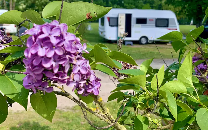 Photo de Camping des Acacias Photo de Camping des Acacias
