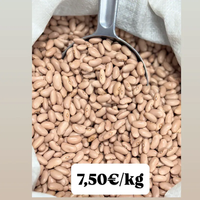 GRAINS