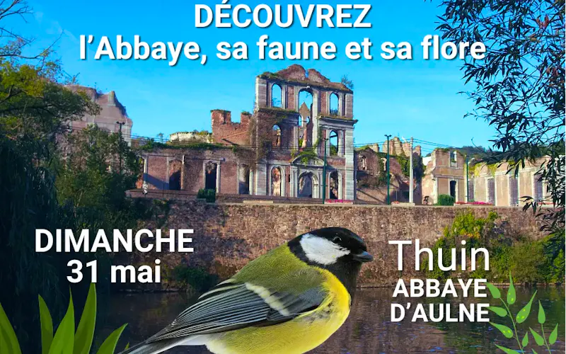 Découvrez l'Abbaye, sa faune et sa flore