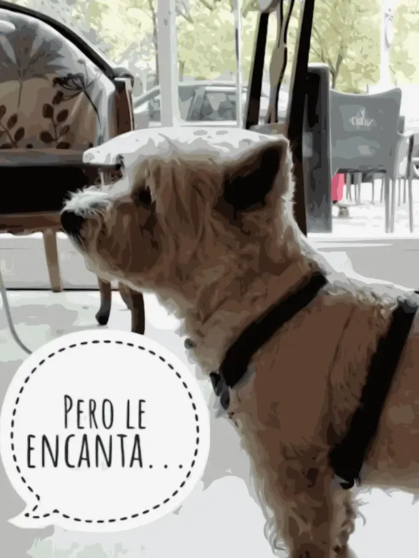 PET FRIENDLY!