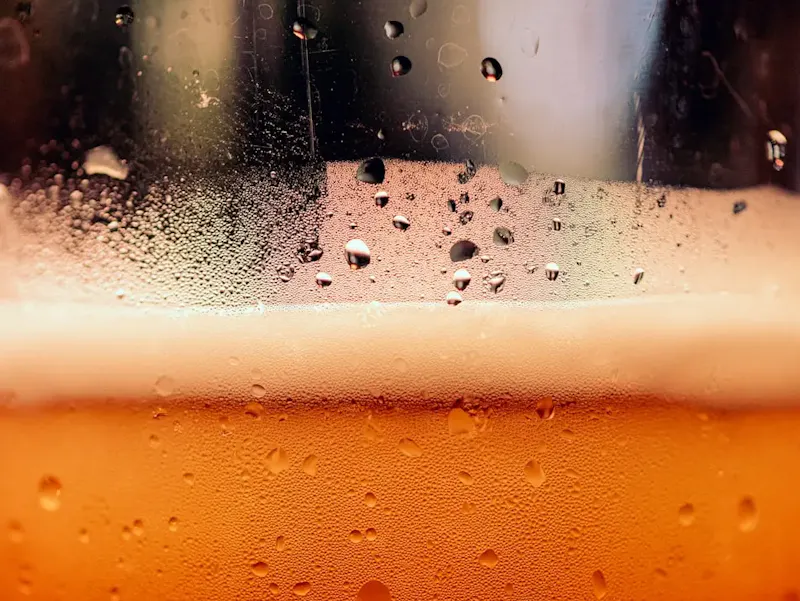 Bebidas