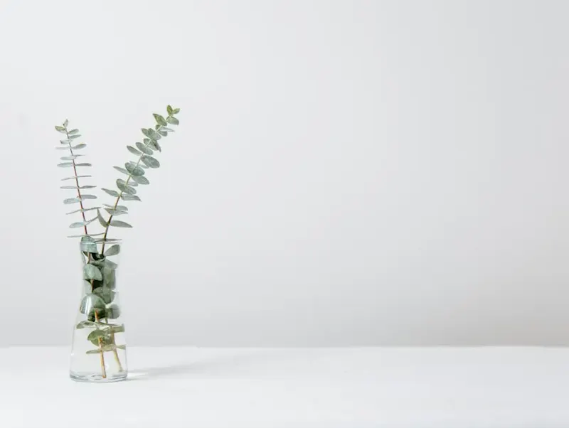 Foto vanChâteau de Damblain green fern plant inside clear glass vase | Foto door Tim Chow, op https://unsplash.com/@rkdamedia?utm_source=centralapp&utm_medium=referral