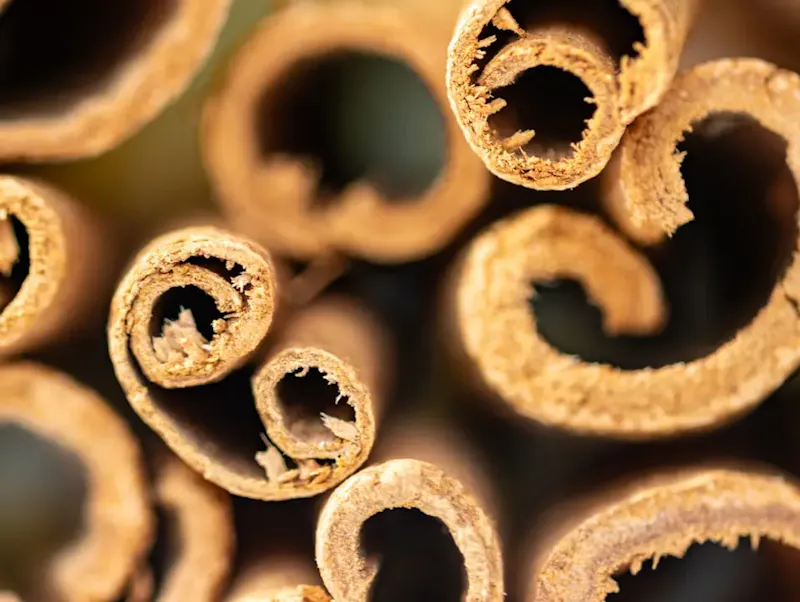 Cinnamon, that sweet and fragrant spice, is a natural treasure that has transcended ages and cultures to become a staple in our modern kitchens.