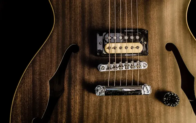 Photo de Oyster Oyster brown jazz guitar | Photo de Dominik Scythe, sur https://unsplash.com/@drscythe?utm_source=centralapp&utm_medium=referral