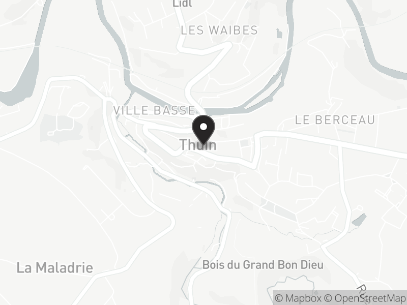 地图显示的地址是 Beffroi de Thuin